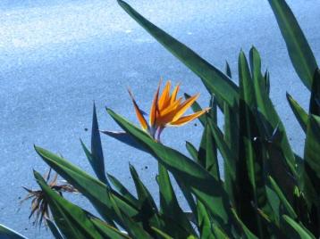 A description for this image has not yet been written.