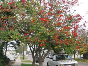 Description not available.