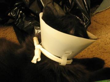 Description not available.