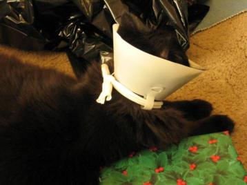 Description not available.